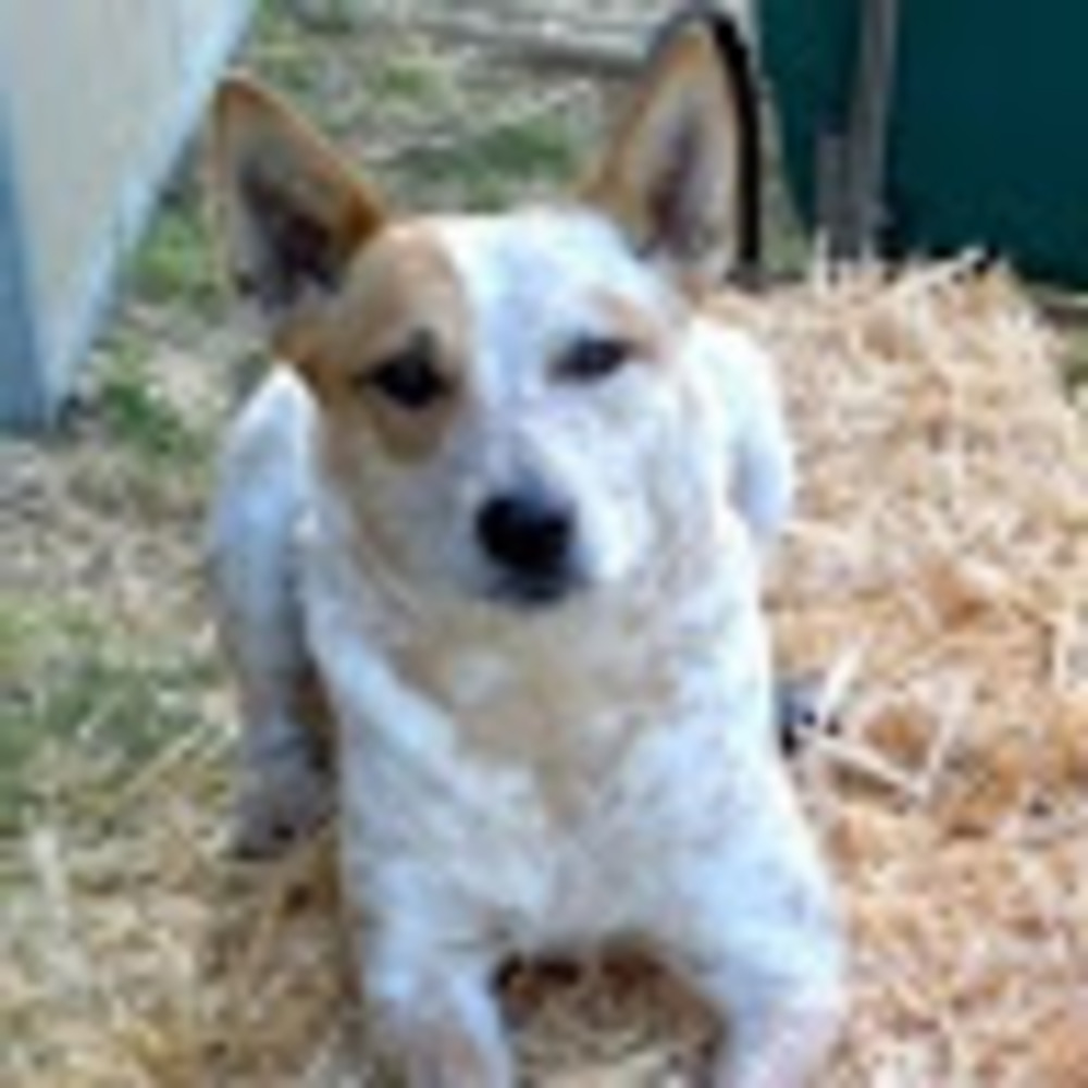 Meet your Posher, Mt